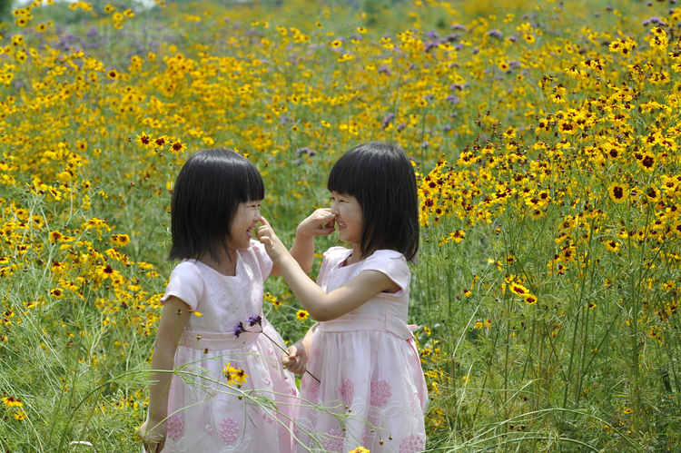 QQ空间创意摄影大赛