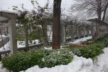 山西铁道职业技术学院