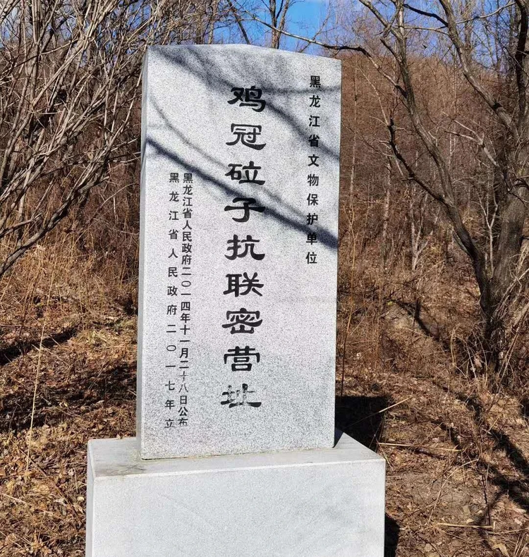 勃利县