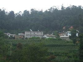 李家村