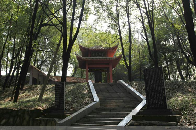 东山