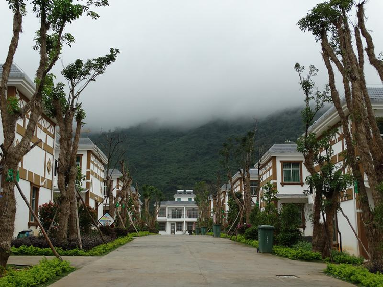芭蕉村[云南绥江县南岸镇下辖村]