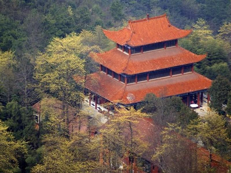 岳阳五尖山森林公园