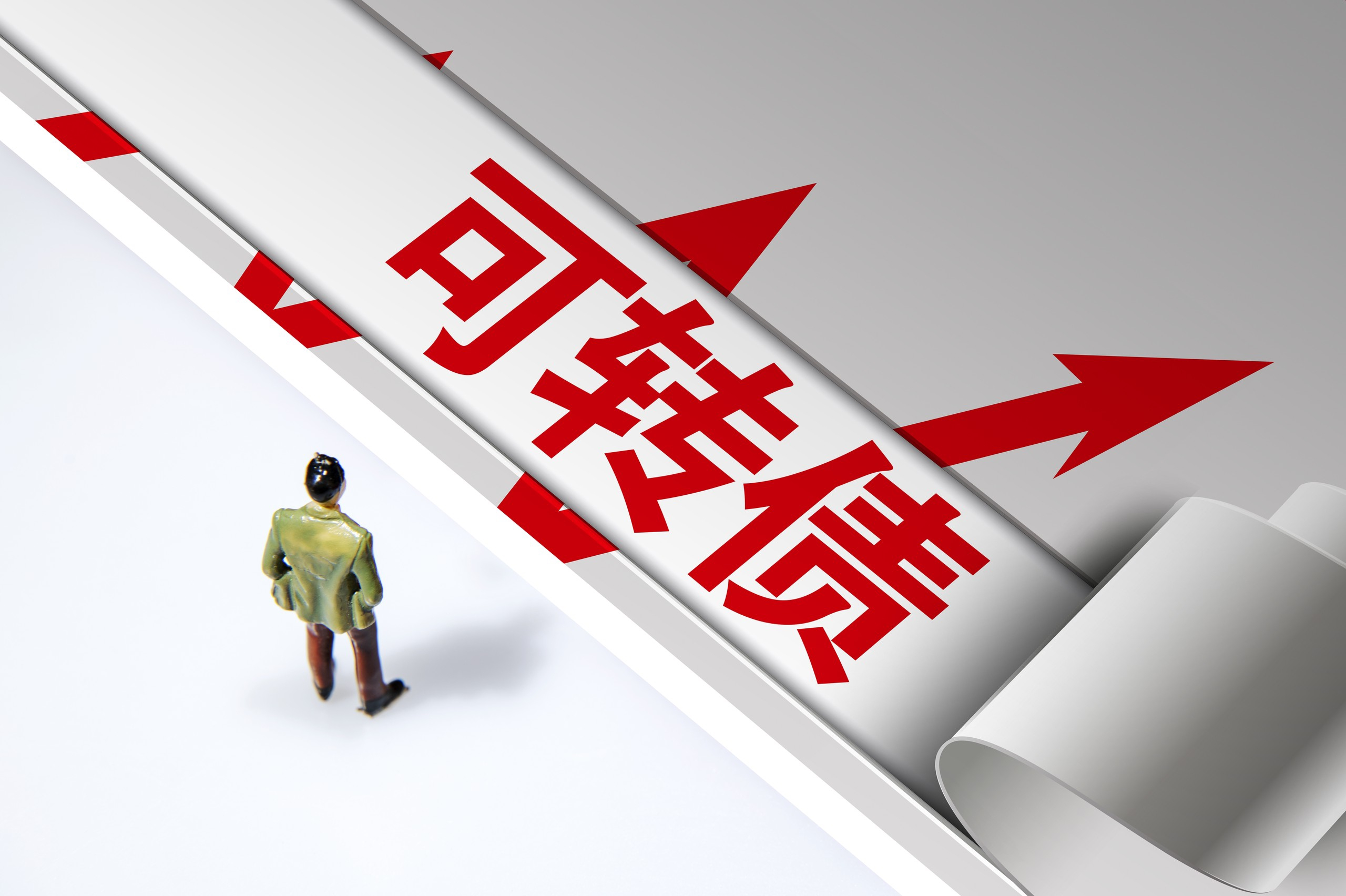 可转换公司债券