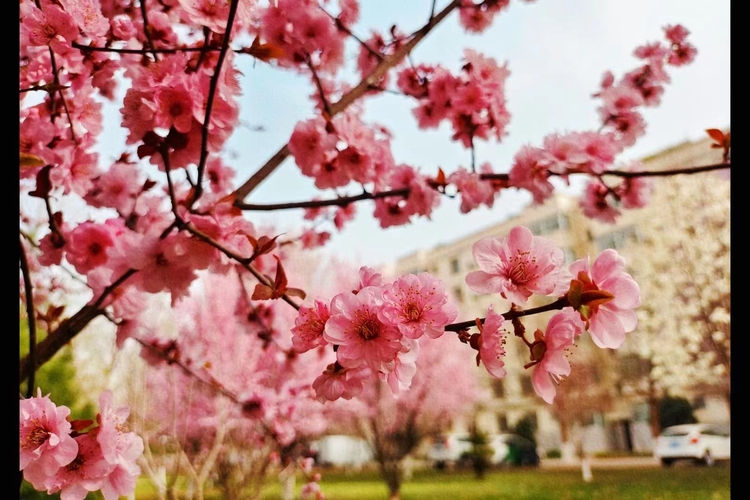 陕西能源职业技术学院