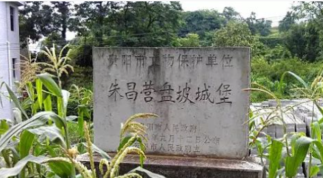 粘贴图片1-1697597549586.png