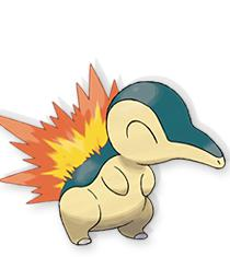 口袋妖怪心金·魂银