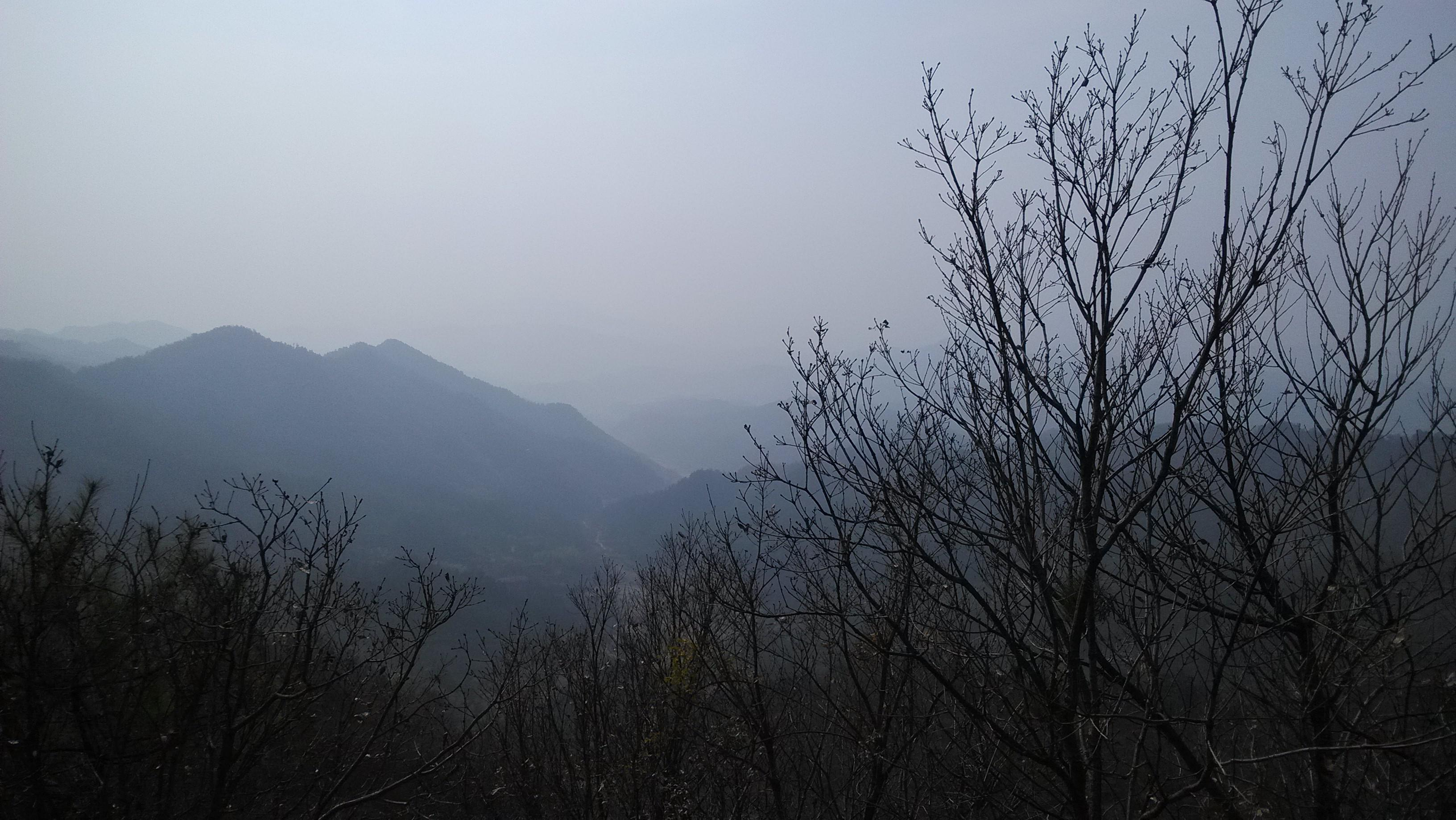 横山村
