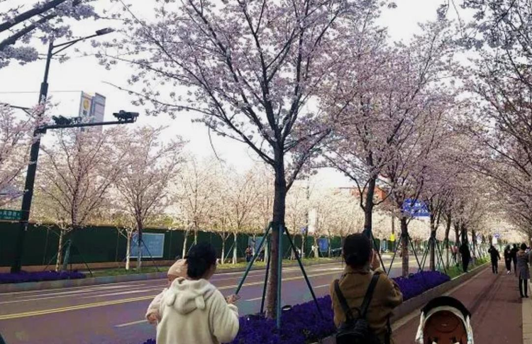 360截图20240325184616198.jpeg