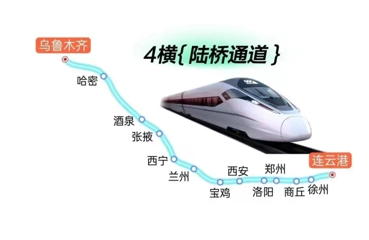 八横4.jpeg