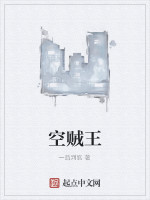 空贼王
