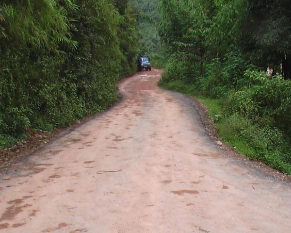 茶园村