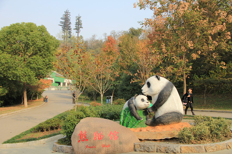红山森林动物园