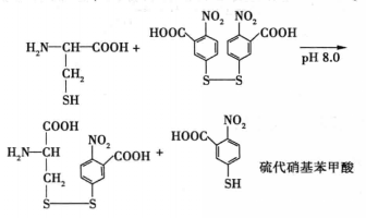 氨基酸