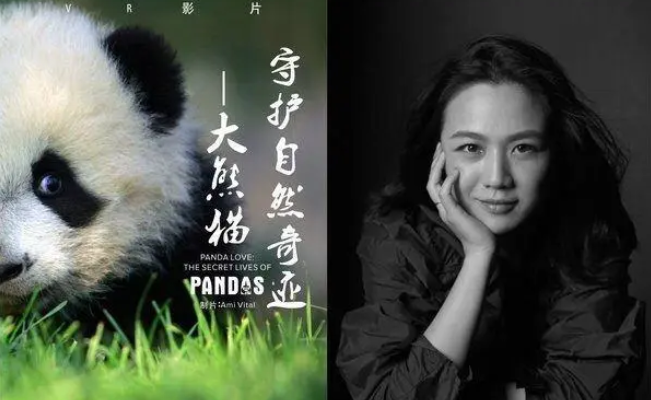中文解说VR公益影片与熊猫零接触.png