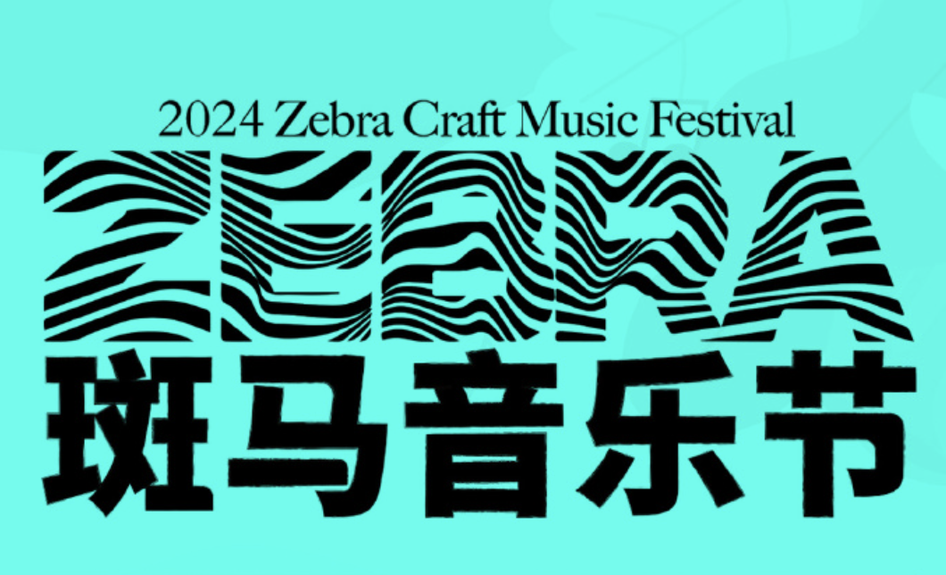 2024阜阳斑马音乐节