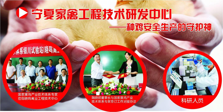 宁夏晓鸣农牧股份有限公司