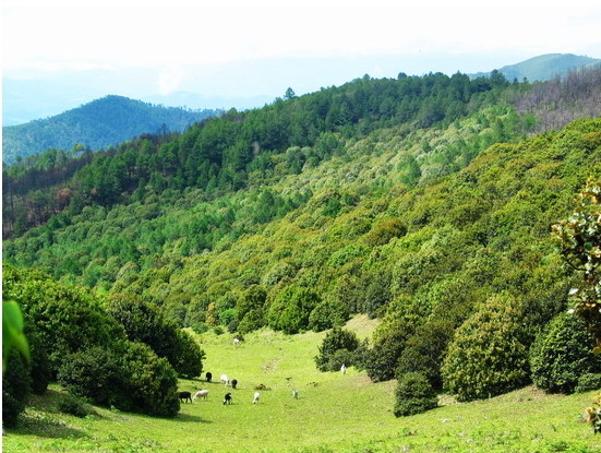 回龙湾洞穴遗址