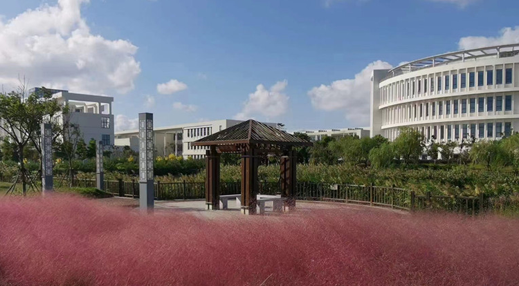 南通大学杏林学院