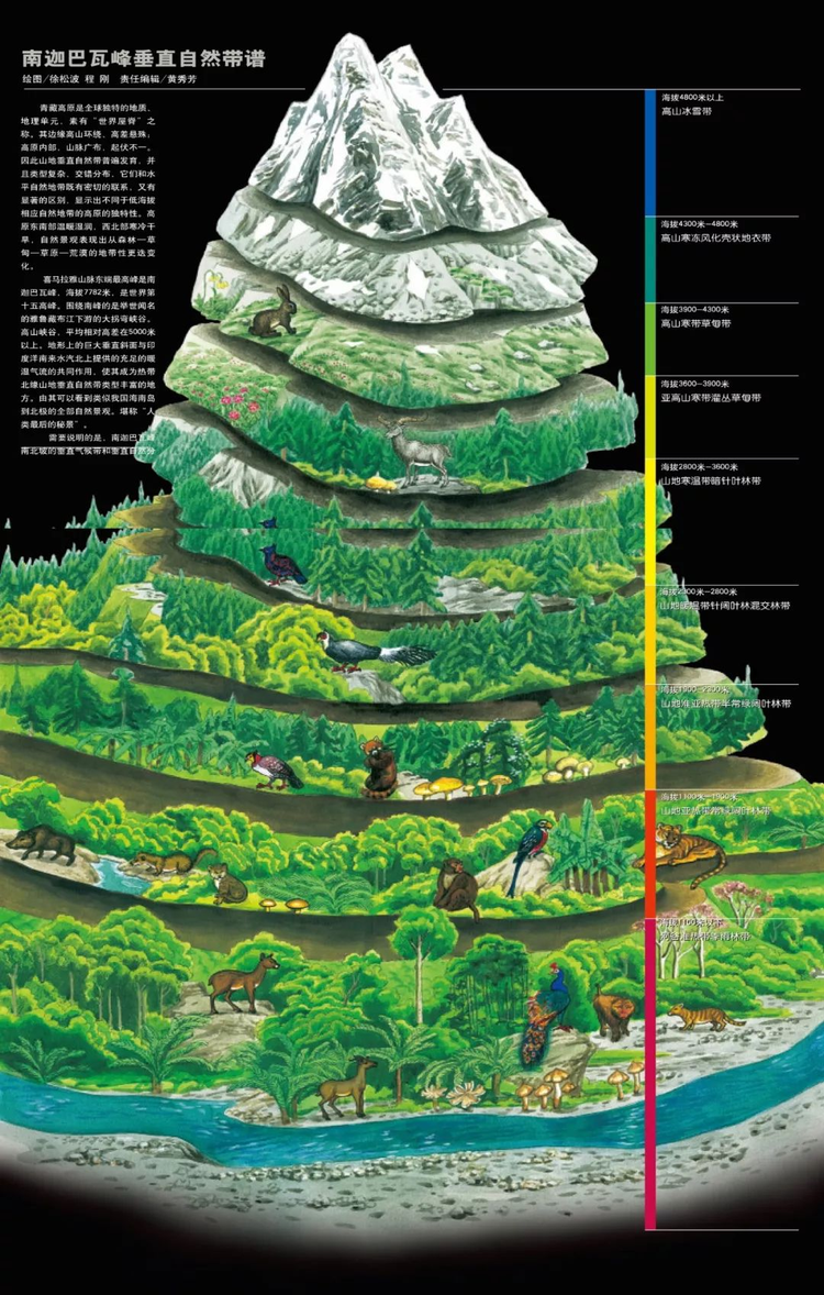 雅鲁藏布大峡谷