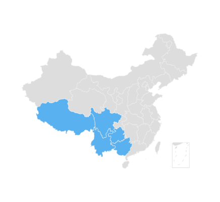 灰腹绣眼鸟