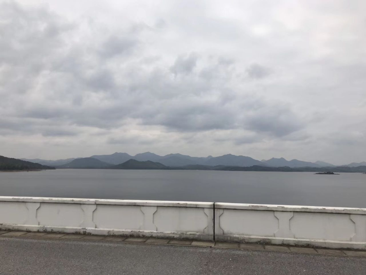 惠阳区