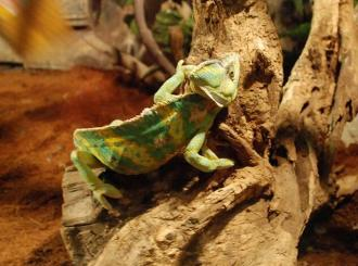 长沙生态动物园