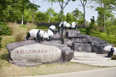 中国大熊猫保护研究中心