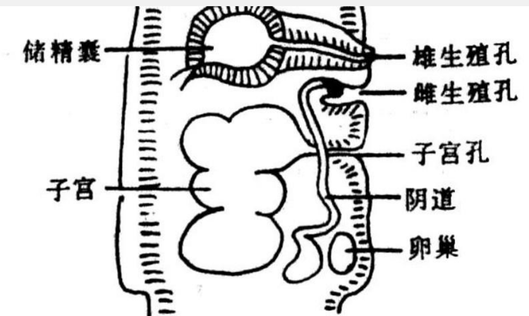 QQ浏览器截图20230816125550.png