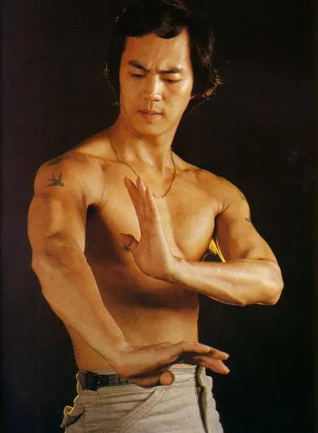 我的老婆是大佬3