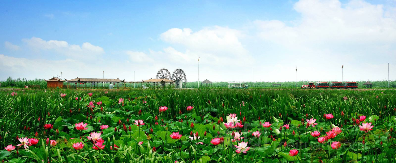 洪泽湖湿地景区