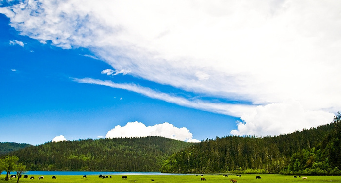 普达措国家公园