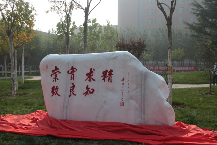 天津中德应用技术大学