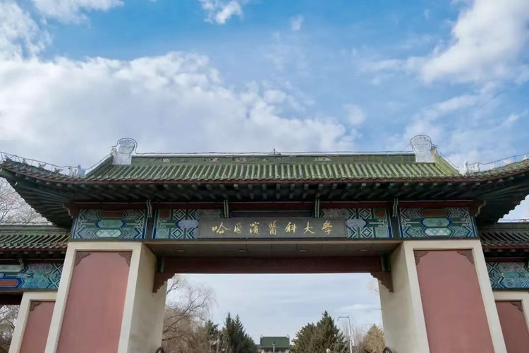 校园1.jpeg