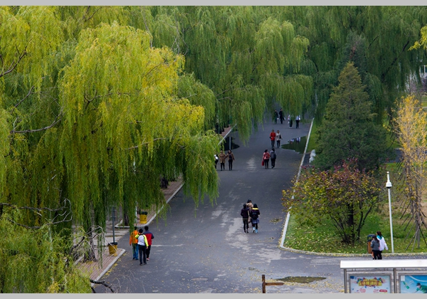 沈阳职业技术学院