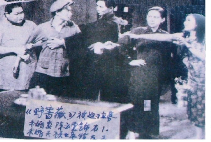 野蔷薇