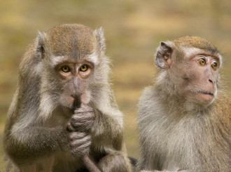 长沙生态动物园