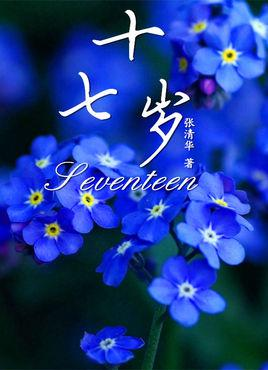 十七岁