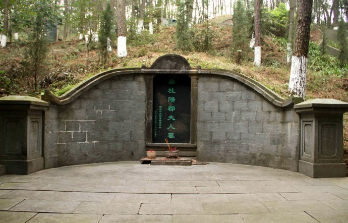 武江区