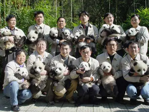 中国大熊猫保护研究中心