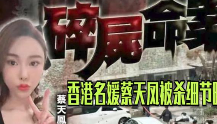 蔡天凤碎尸案
