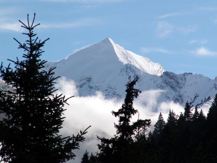 雪宝顶自然保护区