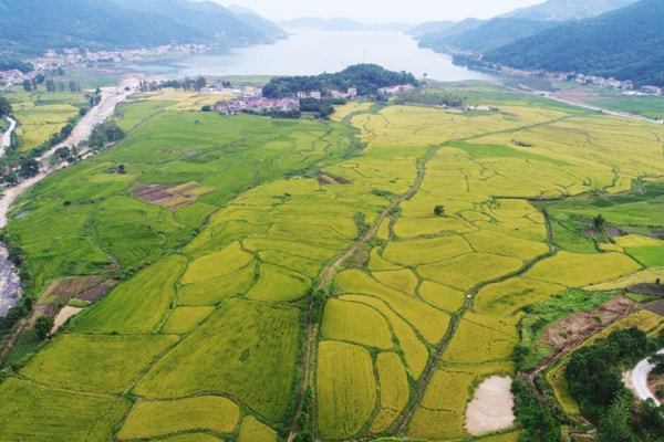 黄梅县