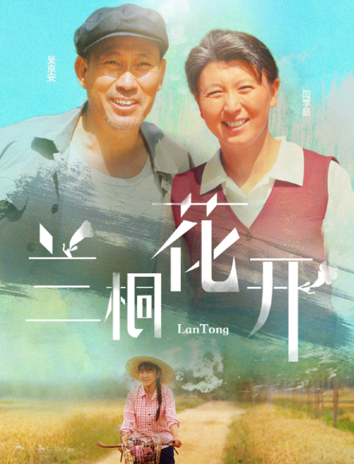 兰桐花开