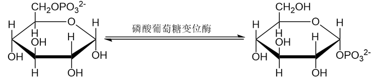 Snipaste_2023-06-06_15-26-16.png