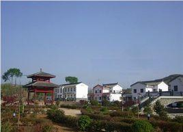 团结村