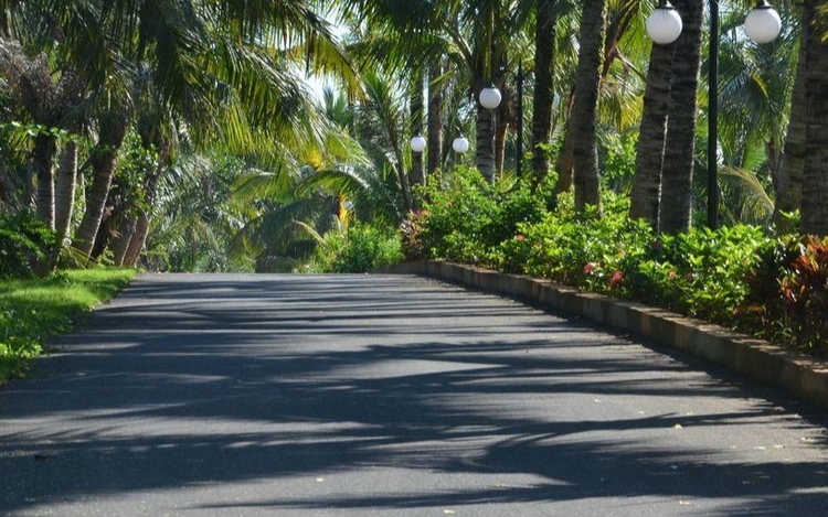 城阳区景观大道