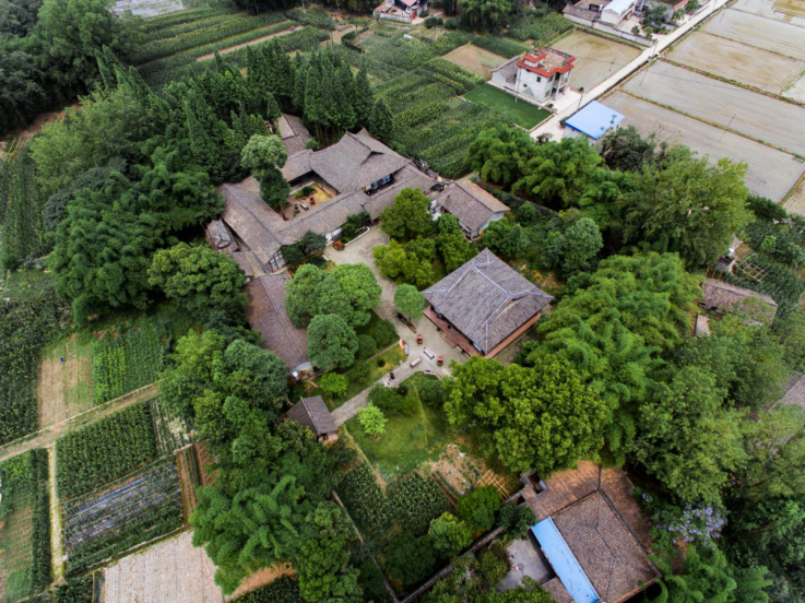 东坡区