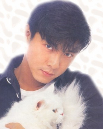 罗密欧与流浪狗