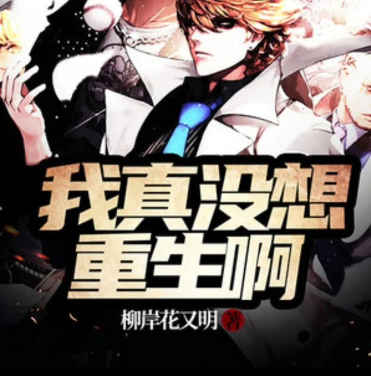 概图